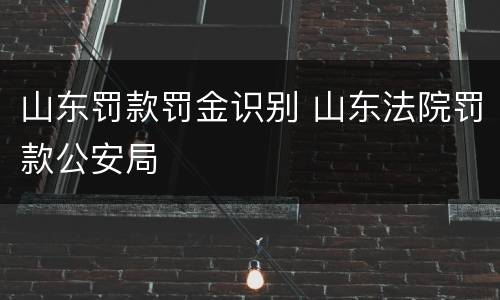 山东罚款罚金识别 山东法院罚款公安局