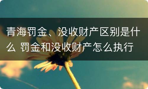 青海罚金、没收财产区别是什么 罚金和没收财产怎么执行