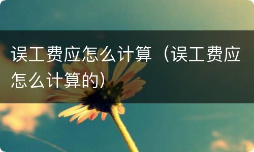 误工费应怎么计算（误工费应怎么计算的）