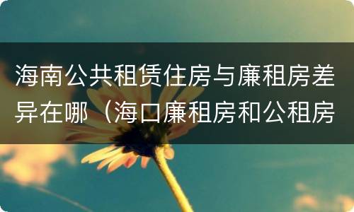 海南公共租赁住房与廉租房差异在哪（海口廉租房和公租房的区别）