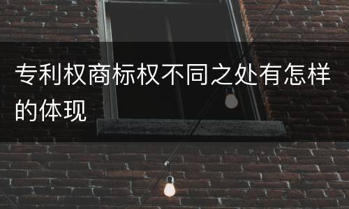 专利权商标权不同之处有怎样的体现