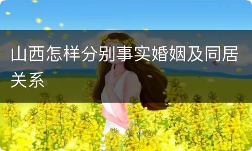 山西怎样分别事实婚姻及同居关系