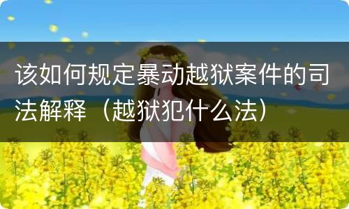该如何规定暴动越狱案件的司法解释（越狱犯什么法）