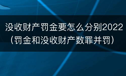 没收财产罚金要怎么分别2022（罚金和没收财产数罪并罚）