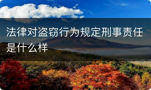 法律对盗窃行为规定刑事责任是什么样