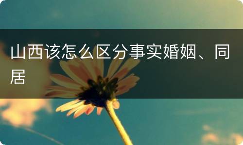 山西该怎么区分事实婚姻、同居