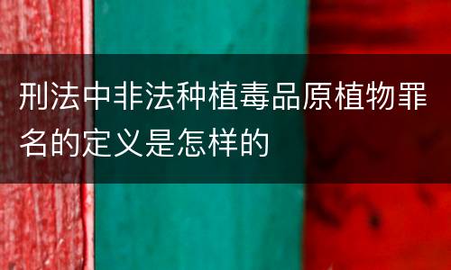 刑法中非法种植毒品原植物罪名的定义是怎样的
