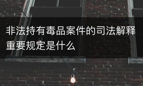 非法持有毒品案件的司法解释重要规定是什么