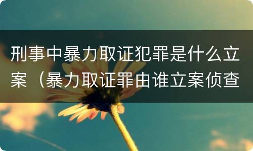 刑事中暴力取证犯罪是什么立案（暴力取证罪由谁立案侦查）