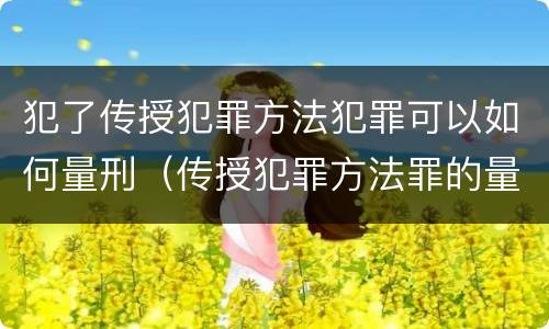 犯了传授犯罪方法犯罪可以如何量刑（传授犯罪方法罪的量刑）