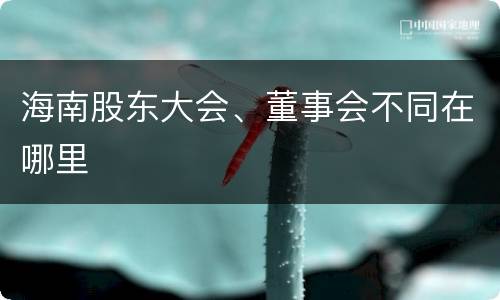 海南股东大会、董事会不同在哪里