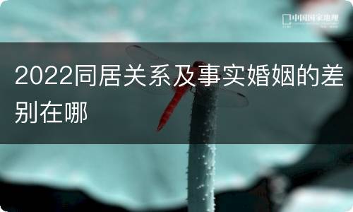 2022同居关系及事实婚姻的差别在哪