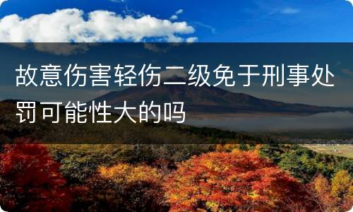 故意伤害轻伤二级免于刑事处罚可能性大的吗