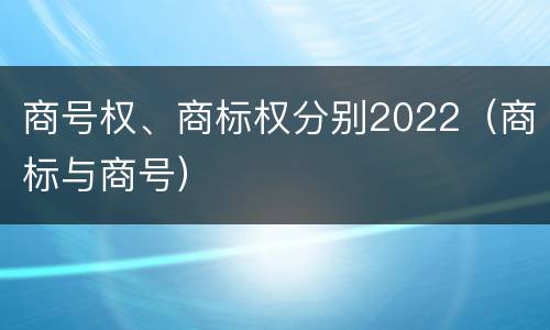商号权、商标权分别2022（商标与商号）