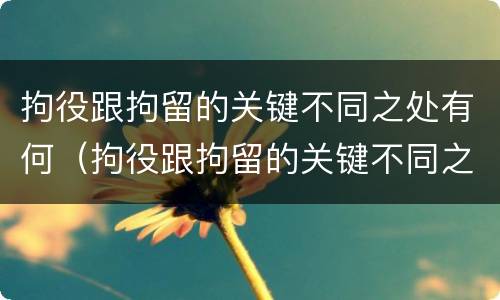 拘役跟拘留的关键不同之处有何（拘役跟拘留的关键不同之处有何区别）