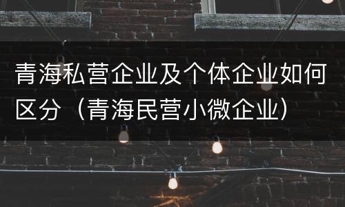 青海私营企业及个体企业如何区分（青海民营小微企业）