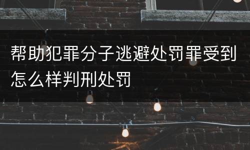 帮助犯罪分子逃避处罚罪受到怎么样判刑处罚