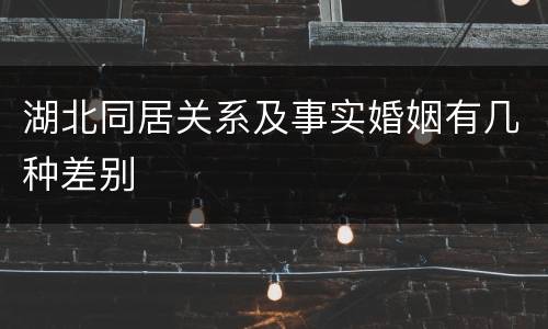 湖北同居关系及事实婚姻有几种差别