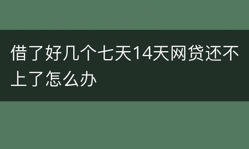 借了好几个七天14天网贷还不上了怎么办