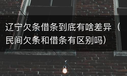 辽宁欠条借条到底有啥差异（民间欠条和借条有区别吗）