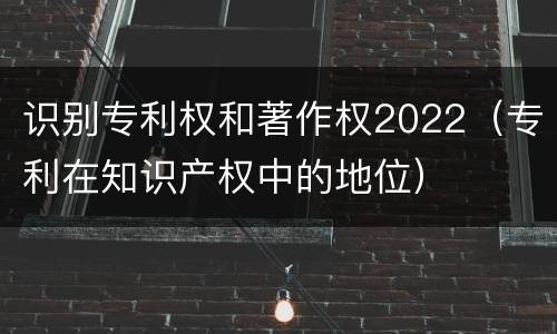 识别专利权和著作权2022（专利在知识产权中的地位）