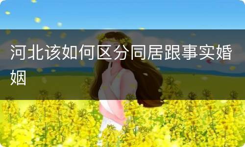 河北该如何区分同居跟事实婚姻