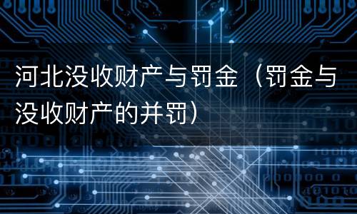 河北没收财产与罚金（罚金与没收财产的并罚）