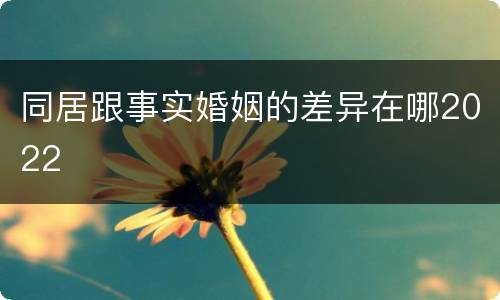 同居跟事实婚姻的差异在哪2022