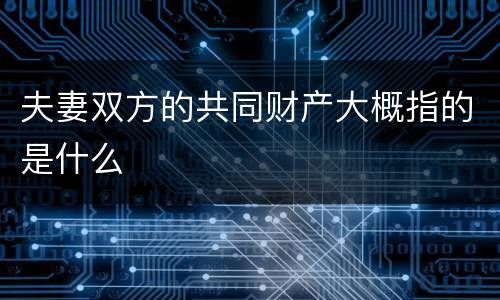 夫妻双方的共同财产大概指的是什么