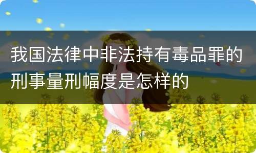 我国法律中非法持有毒品罪的刑事量刑幅度是怎样的