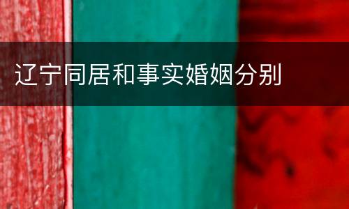 辽宁同居和事实婚姻分别