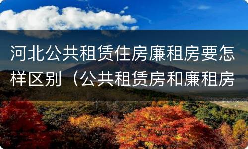 河北公共租赁住房廉租房要怎样区别（公共租赁房和廉租房）