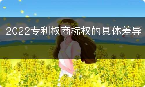 2022专利权商标权的具体差异