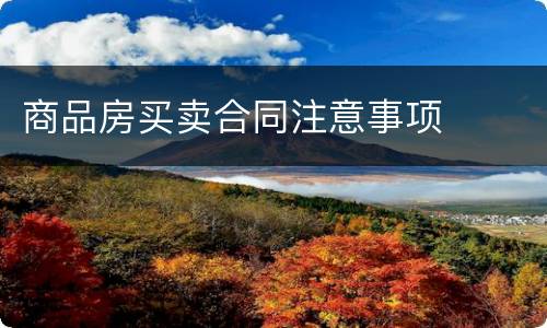 商品房买卖合同注意事项