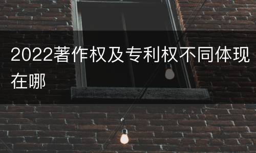 2022著作权及专利权不同体现在哪