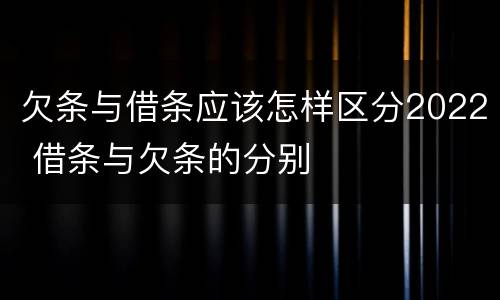 欠条与借条应该怎样区分2022 借条与欠条的分别