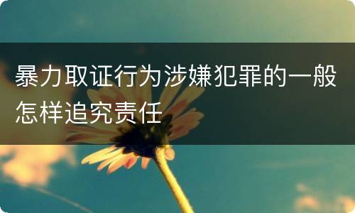 暴力取证行为涉嫌犯罪的一般怎样追究责任