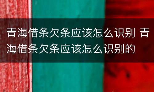 青海借条欠条应该怎么识别 青海借条欠条应该怎么识别的