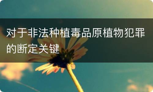 对于非法种植毒品原植物犯罪的断定关键