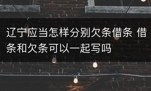 辽宁应当怎样分别欠条借条 借条和欠条可以一起写吗