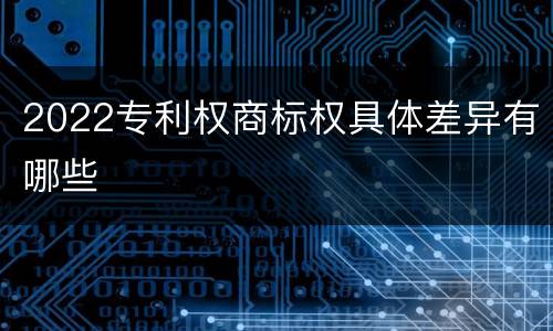 2022专利权商标权具体差异有哪些