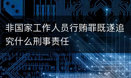 非国家工作人员行贿罪既遂追究什么刑事责任