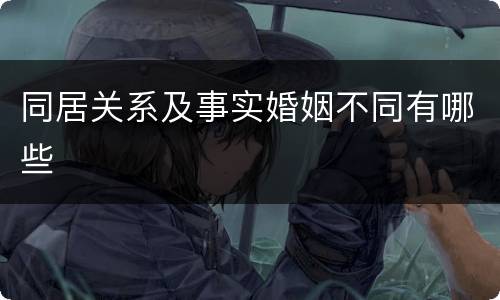 同居关系及事实婚姻不同有哪些