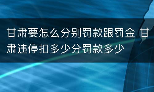 甘肃要怎么分别罚款跟罚金 甘肃违停扣多少分罚款多少
