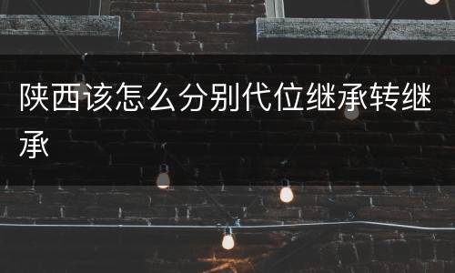 陕西该怎么分别代位继承转继承