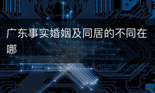 广东事实婚姻及同居的不同在哪