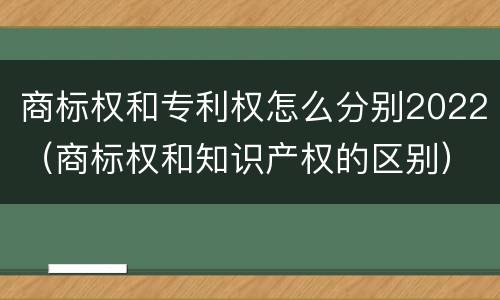 商标权和专利权怎么分别2022（商标权和知识产权的区别）