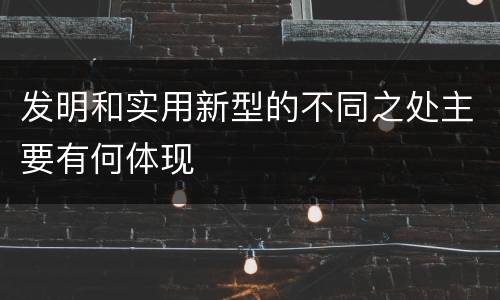 发明和实用新型的不同之处主要有何体现