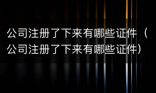 公司注册了下来有哪些证件（公司注册了下来有哪些证件）