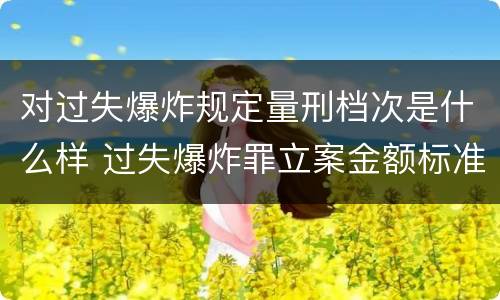 对过失爆炸规定量刑档次是什么样 过失爆炸罪立案金额标准